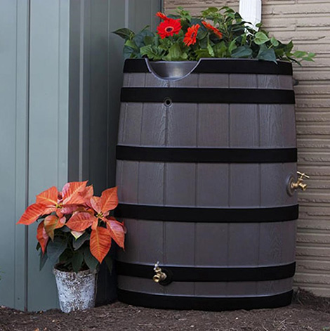 Rainwater Catchment